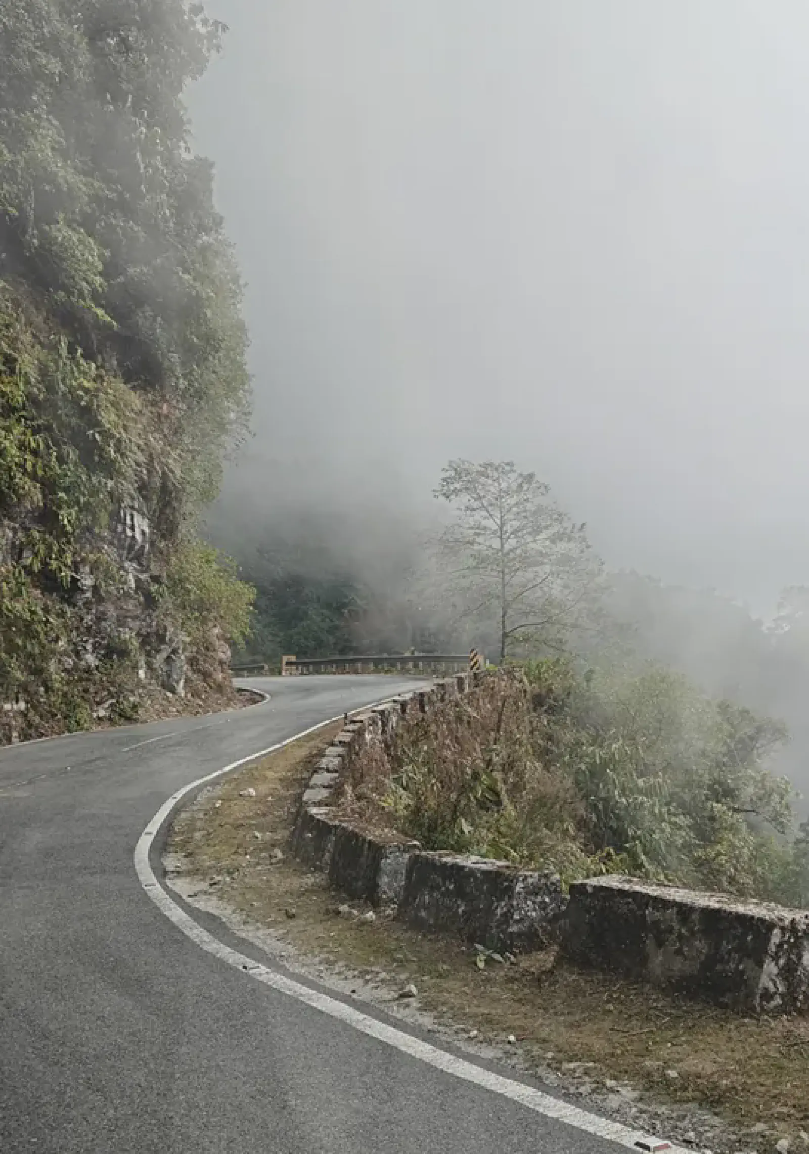 Winding roads of Bhutan