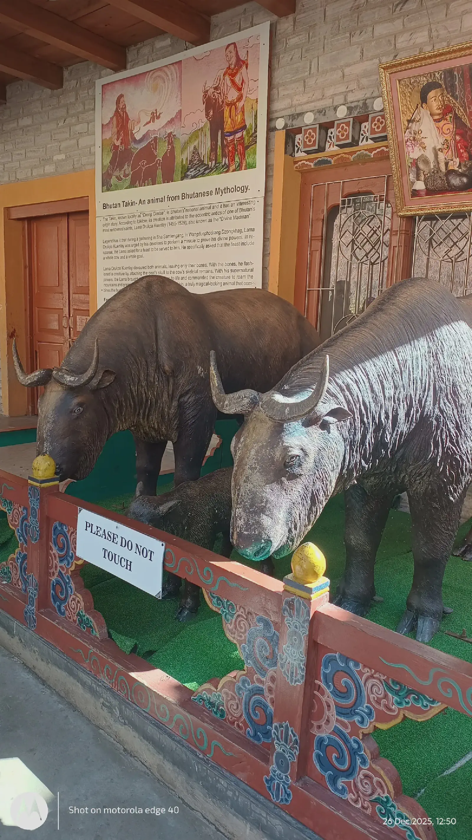 A closer look at Bhutan's national animal
