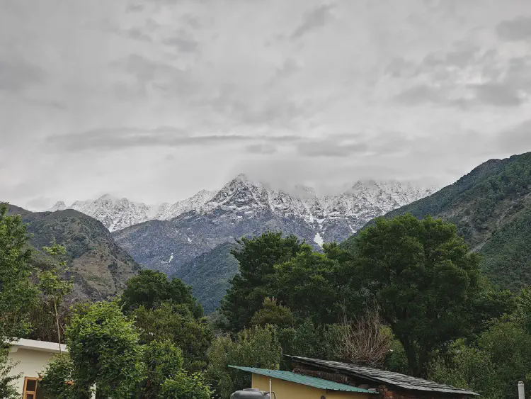 Dharamshala Complete Itinerary: 6 Days from Gurgaon (30th April - 6th May 2025)