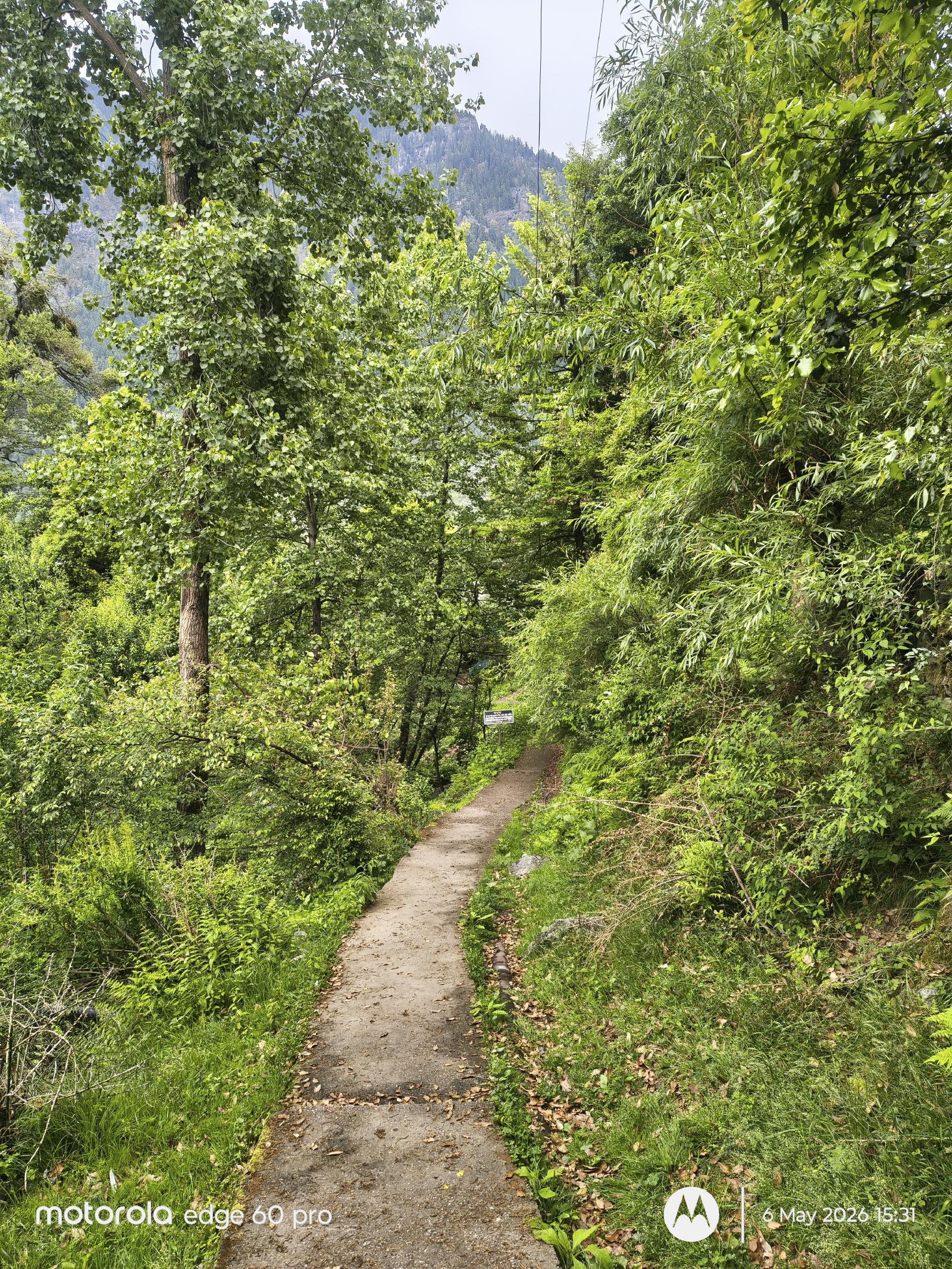 The path to the Airbnb — steep, quiet, through the apple orchards