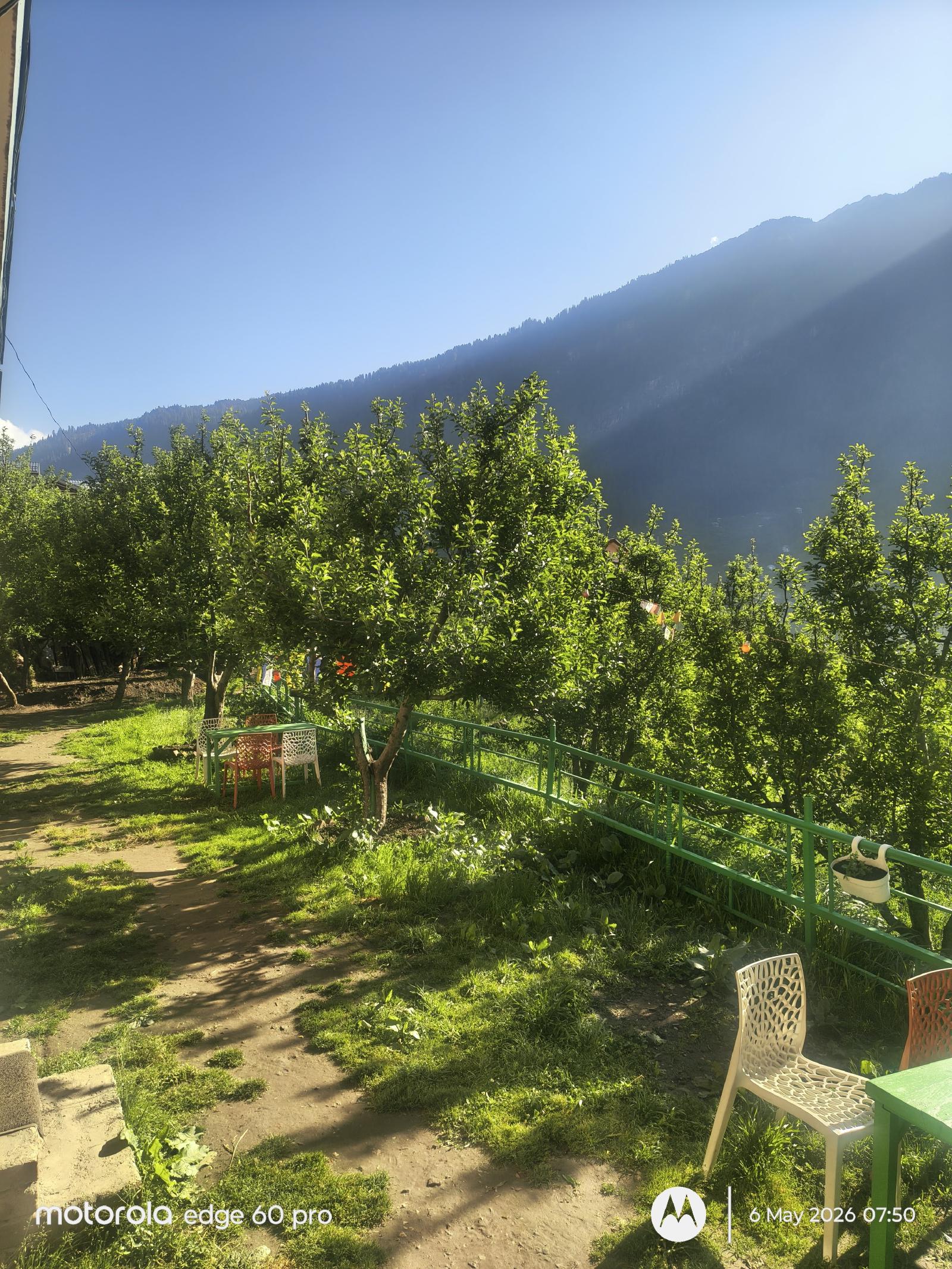 First morning view from the balcony