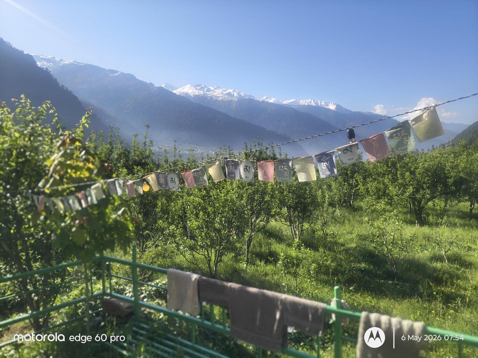Morning view from the Airbnb — prayer flags, apple trees, and snow peaks
