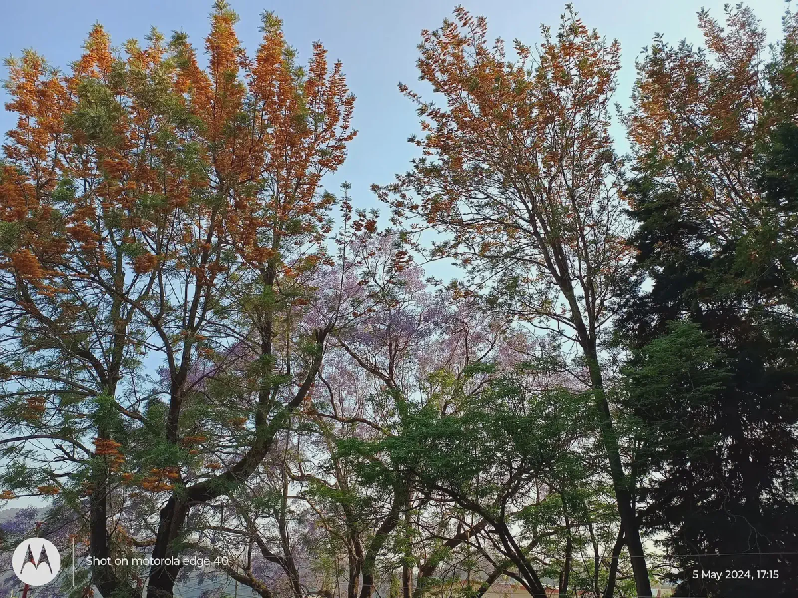 Nainital